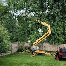 How Our Tree Care Process Works  in  Point Clear, AL